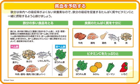 A-50 貧血を予防する – JFPA®オンラインショップ