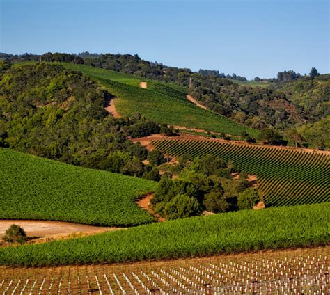 California Wine Country Tour - Womens Travel Club