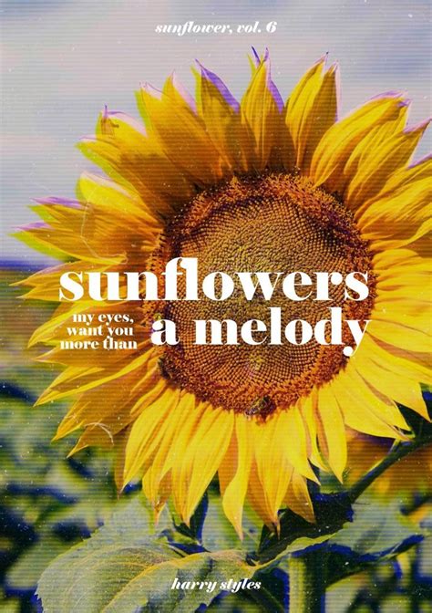 Sunflower vol.6 poster - Harry Styles | Póster de música, Fondo de pantalla de harry styles ...