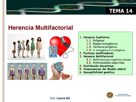 Solution Tema Herencia Multifactorial Studypool