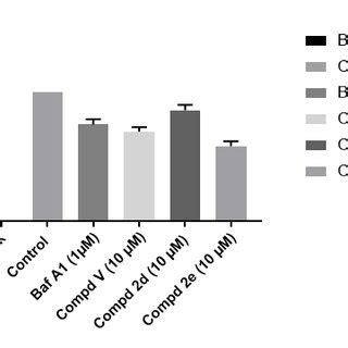 Effect Of V Atpase Inhibitors On Proton Pump Activity Cells