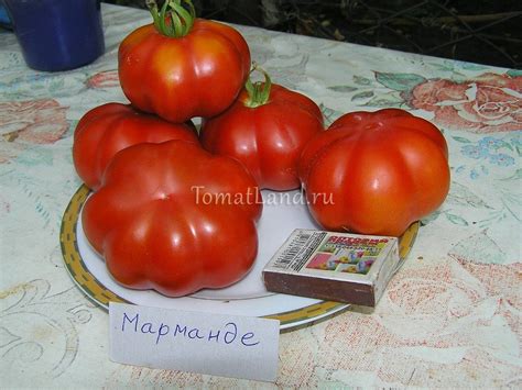 Томат Mарманде: описание сорта, ОТЗЫВЫ (10), фото