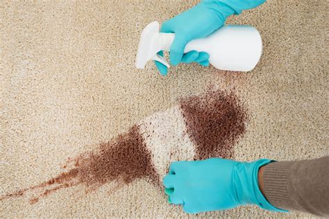 How To Remove Odours From Your Carpet Get Set Clean Get Set Clean