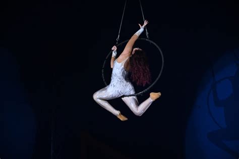 Le Cirque Zavatta Le Spectacle Tr S Attendu De La Fin Dann E Ville