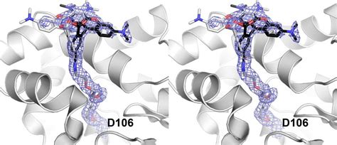 Multiple Conformations Of Tetramethylrhodamine TMR In The HaloTag TMR