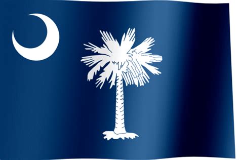 Flag Of South Carolina All Waving Flags