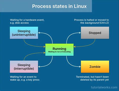 Process State With Diagram Based On Linux Os Process States