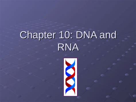 Ppt Chapter 10 Dna And Rna Dna Deoxyribonucleic Acid Structure Of Dna Made Up Of Four