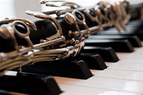 Piano & Clarinet Lessons – Carrollwood Music