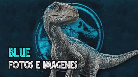 Jurassic Park Saga On Twitter Blue Fotos E Im Genes Del