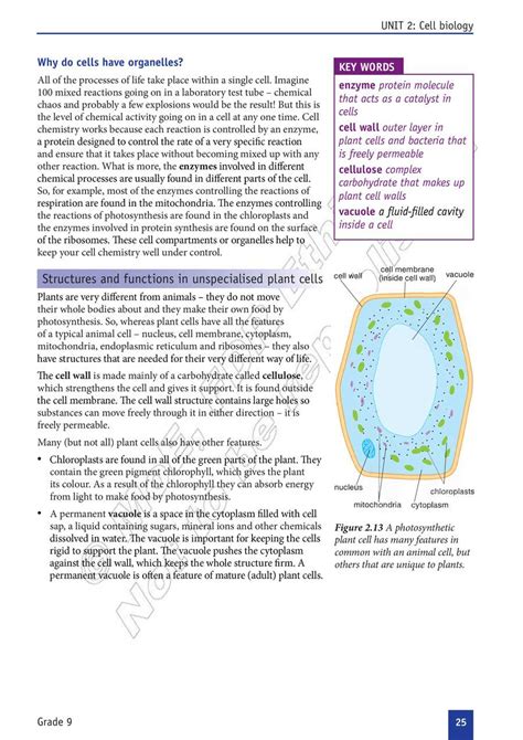 Ethiopia Learning Biology Grade 9 Page 30 In English