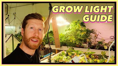 The Led Grow Light Guide For Houseplants Youtube