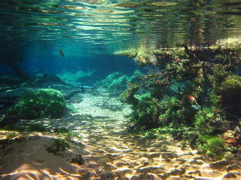 River Underwater Photography