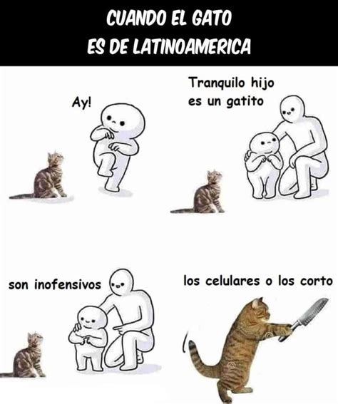 Meme De Gatos Meme Subido Por Juanpaf Memedroid