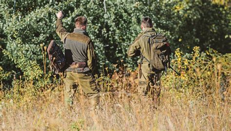 Assisi Enne Ucciso Durante Una Battuta Di Caccia Al Cinghiale L