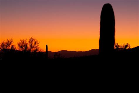 14 Tucson Sunset Spots To Admire The Stunning Views