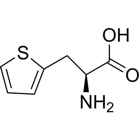 3 2 Thienyl L Alanine L 3 2 Thienyl Alanine Amino Acid