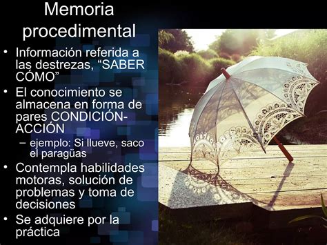 Fases Y Tipos De Memoria Ppt