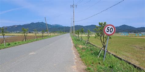 Get Lost By David Deubelbeiss NAKED AND ALIVE