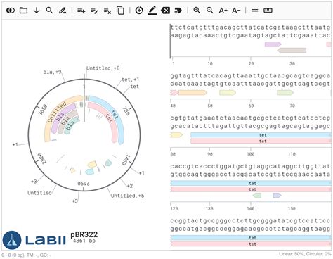 Plasmid Editor - Documentation