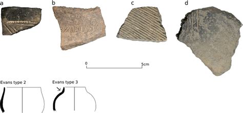 Macroscopic photographs of the sherds illustrated in Figure 6.... | Download Scientific Diagram