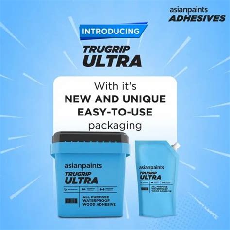 asian paints trugrip ultra   price  bhopal id