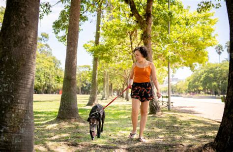 600+ Woman Walking Dog Series Stock Photos, Pictures & Royalty-Free Images - iStock