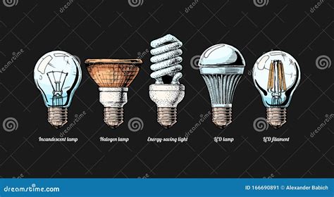 Ensemble D évolution De L ampoule Illustration de Vecteur