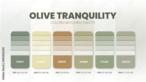 Color palette guide in Olive colour theme collections. Color ...