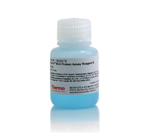 Thermo Scientific Pierce Bca Protein Assay Reagent B Reagent B Ml