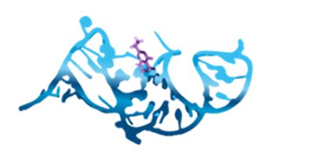 New Methods For Hapten Bioanalysis - Aptamer Group