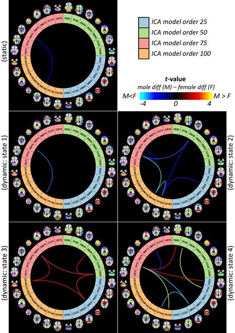 Sex Specific Differences At The Domain Level Across Different Spatial Download Scientific