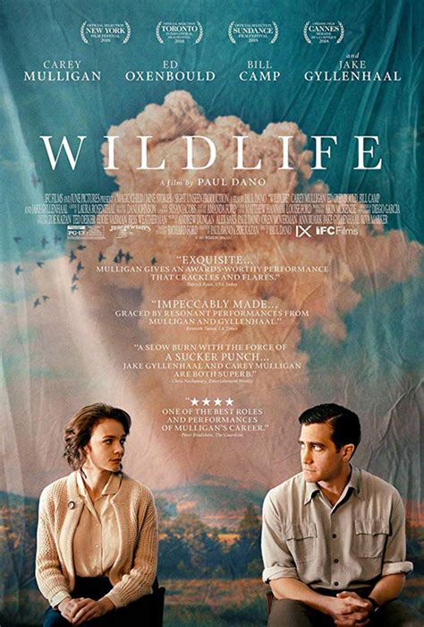 Film: A wildfire ruptures a Montana family’s life - The Martha's ...