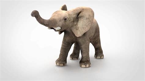 Elephant 3d Model By Alenfsl