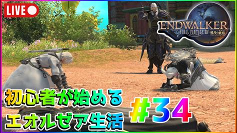 【ff14】初心者が始めるエオルゼア生活34枠目【メインストーリー60突入】 Youtube