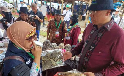 De Gual Ecoprint Kalaju Suak Gual Tampil Di Pameran Penas Petani