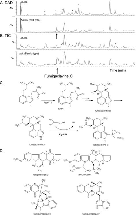 PesL Is Essential For Fumigaclavine C Biosynthesis Chromatograms From