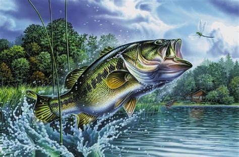origin   iconic bass art work outdoorhub