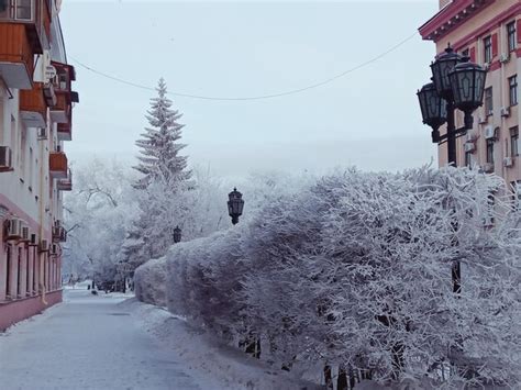 Premium Photo | In tyumen