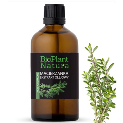 Bioplant Natura Ekstrakt Olejowy Z Macierzanki Ml Sk Ad Cena