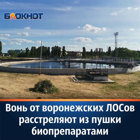Вонь от воронежских ЛОСов расстреляют из пушки | Блокнот Воронеж ...