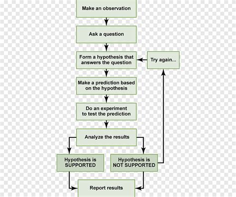 Scientific Method Research Science Hypothesis Scientific Theory Step