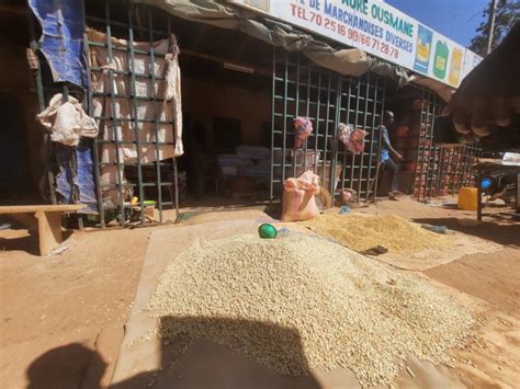 Campagne Agricole Au Burkina Faso L Appel Au Secours Des