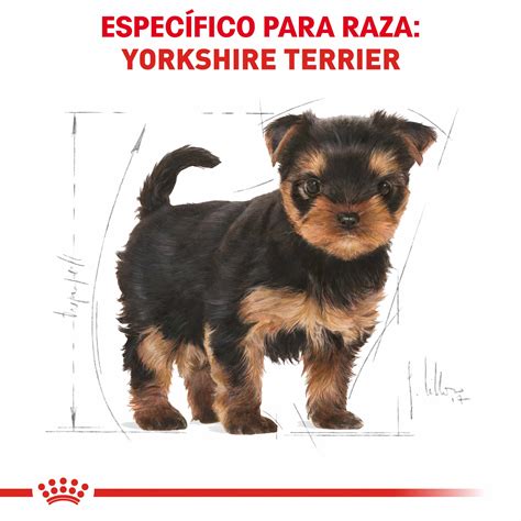 Royal Canin Yorkshire Terrier Cachorro La Farmascota