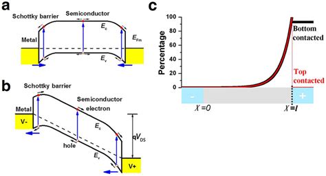 Schematic Band Diagrams And The Possibility Of The Photoexcited