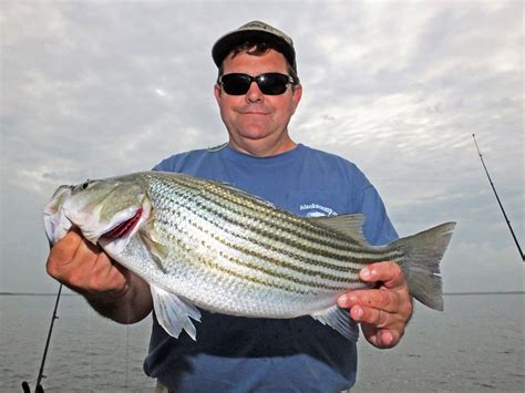 December Is A Big Month For Big Fish On The Santee Cooper Lakes