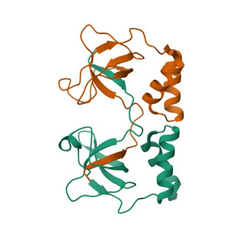 RCSB PDB 2D7E Crystal Structure Of N Terminal Domain Of PriA From E Coli