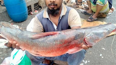 Rare Giant Ayer Fish Cutting In Bangladesh Amazing Fish Cutting Skills