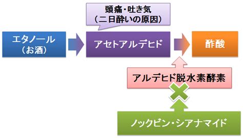 アルコール依存症の治療薬の選択肢が広がりそう 薬理学などなどなど。