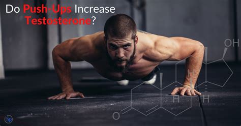 2024 Do Push Ups Increase Testosterone